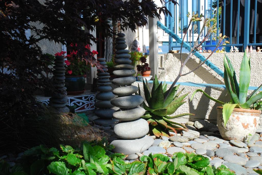 Arden Street House Bed & Breakfast Дюндин Екстериор снимка