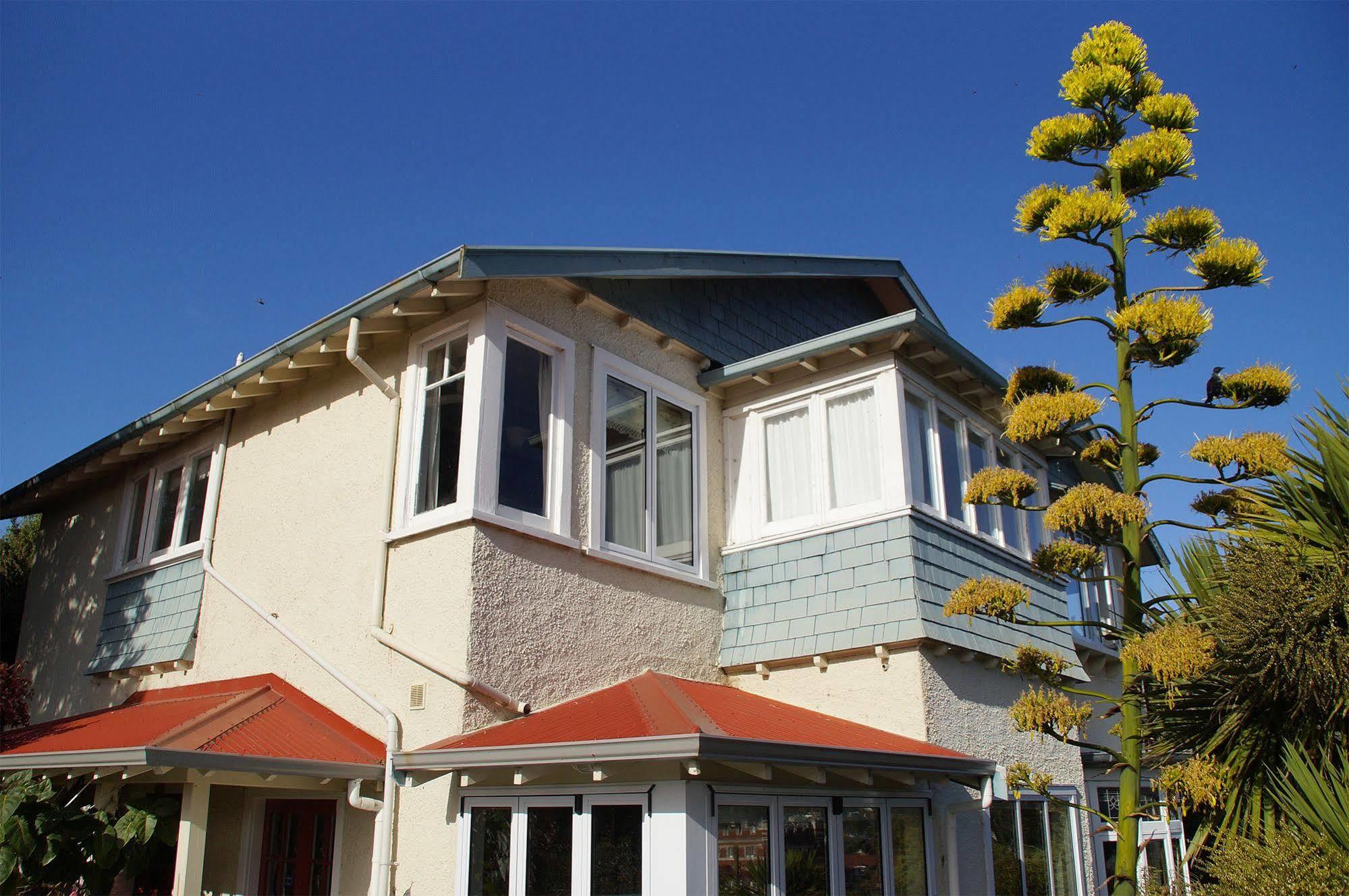 Arden Street House Bed & Breakfast Дюндин Екстериор снимка